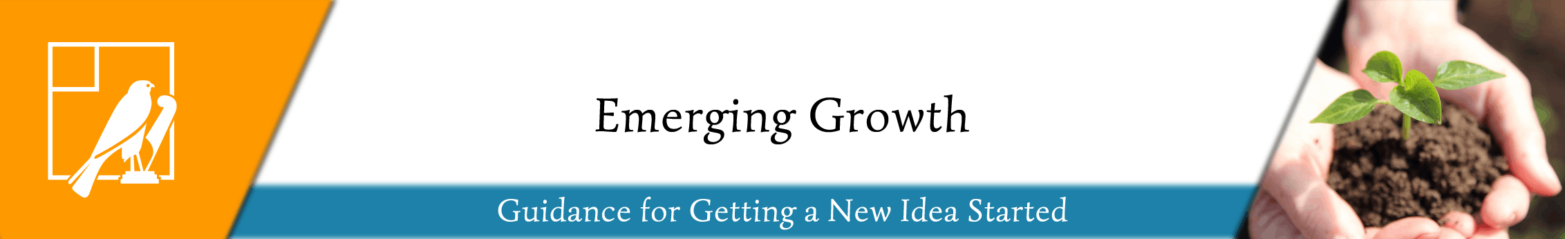 FDA Emerging Growth