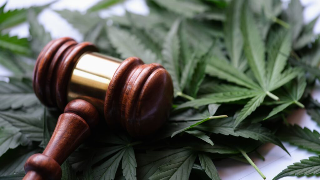 Gavel-lying-on-top-of-marijuana-leaves